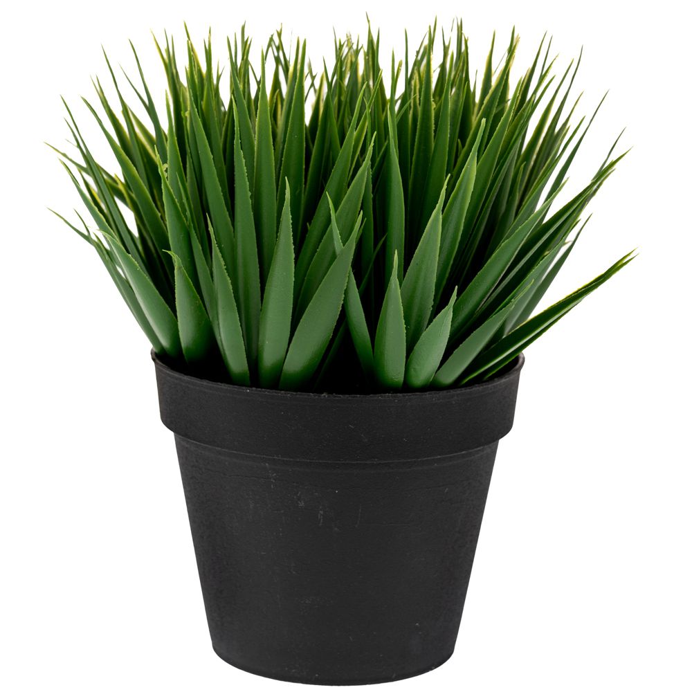89893 ΓΛΑΣΤΡΑΚΙ ΜΕ ΠΡΑΣΙΝΑΔΑ 10Χ19ΕΚ ΣΕ ΜΑΥΡΟ ΠΛΑΣΤΙΚΟ ΚΑΣΠΩ - Image 1
