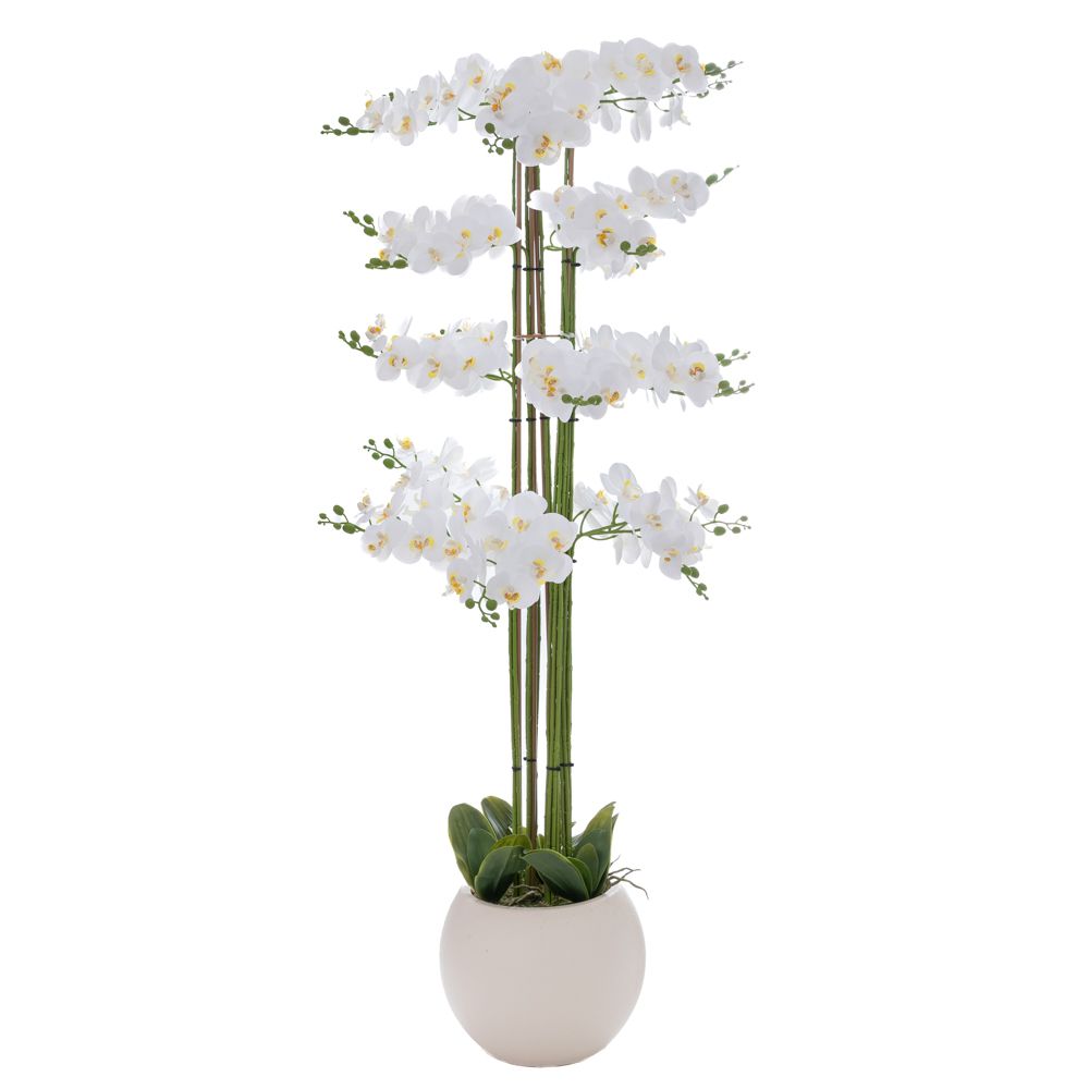 92662 ΛΕΥΚΗ ΟΡΧΙΔΕΑ PHALAENOPSIS ΣΕ ΕΚΡΟΥ ΚΕΡΑΜΙΚΟ ΚΑΣΠΩ 160ΕΚ - Image 1