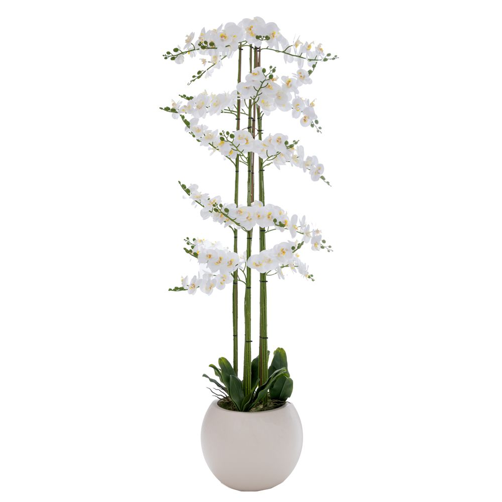 92664 ΛΕΥΚΗ ΟΡΧΙΔΕΑ PHALAENOPSIS ΣΕ ΕΚΡΟΥ ΚΕΡΑΜΙΚΟ ΚΑΣΠΩ 190ΕΚ - Image 1