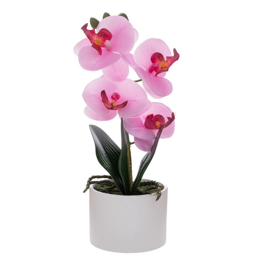 92672 ΡΟΖ ΟΡΧΙΔΕΑ PHALAENOPSIS ΣΕ ΛΕΥΚΟ ΚΕΡΑΜΙΚΟ ΚΑΣΠΩ 28ΕΚ - Image 1